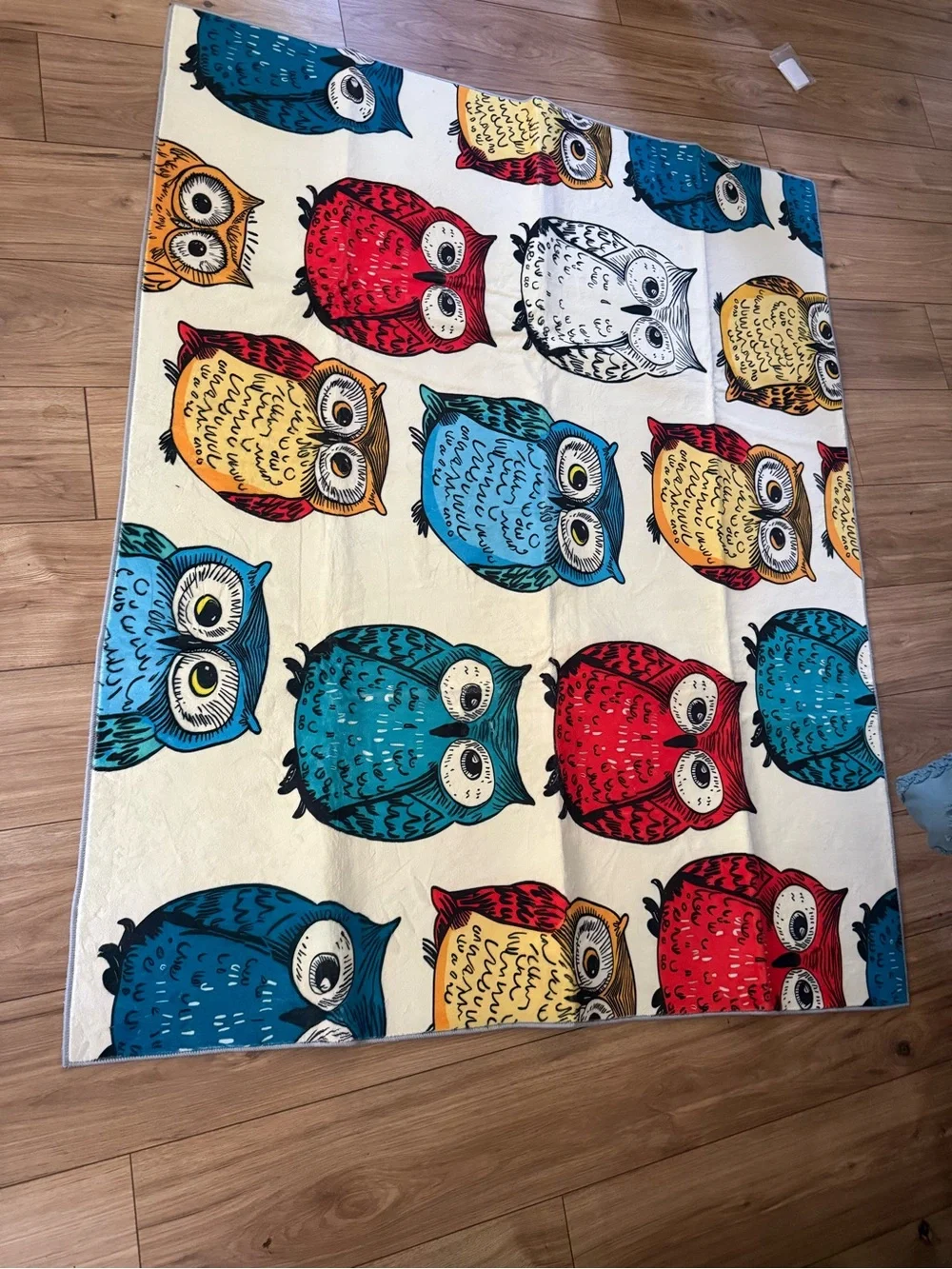 Colorful Owl Pattern Indoor Door Mat - Blue, Red, Yellow, White